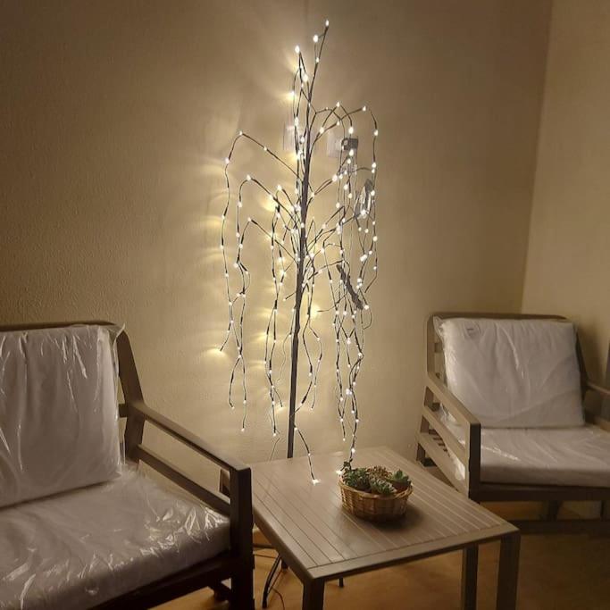 Apartamento Monolocale Nuova Costruzione Con Giardino